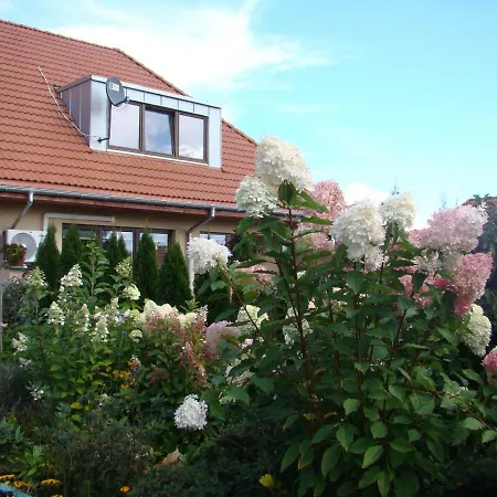 Apartment Honey Polanica-Zdroj