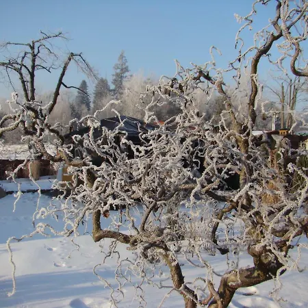 Appartement Honey Polanica-Zdrój