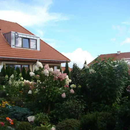 Apartment Honey Polanica-Zdroj