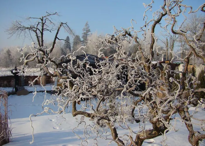 Appartement Honey Polanica-Zdrój